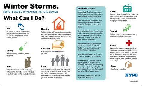 SnowStorm Guidelines v035 .